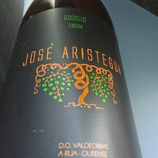 ARISTEGUI GODELLO 2024