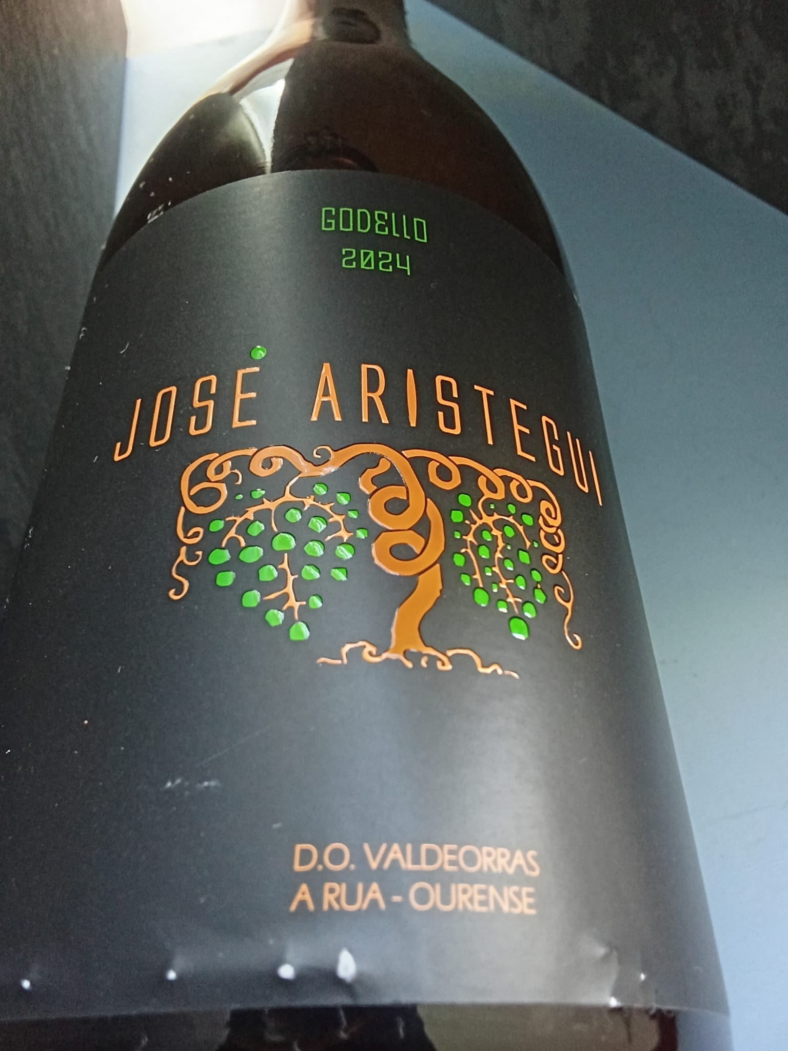 ARISTEGUI GODELLO 2024